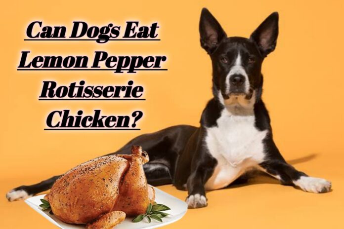 Can Dogs Eat Lemon Pepper Rotisserie Chicken?