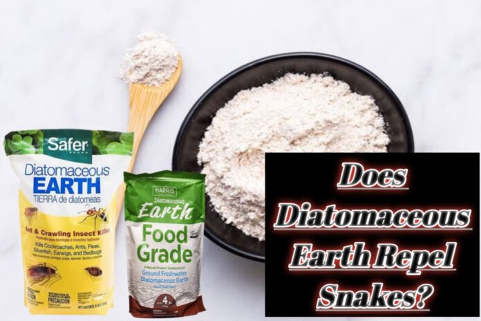 Does Diatomaceous Earth Repel Snakes?